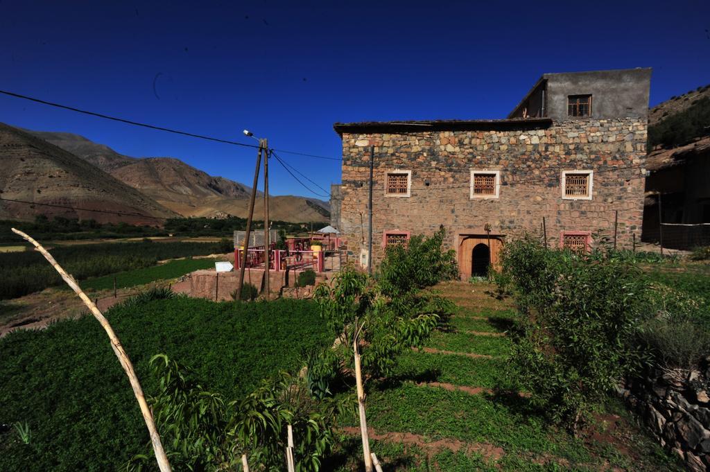 Riad La Fibule Berbere Tabant エクステリア 写真
