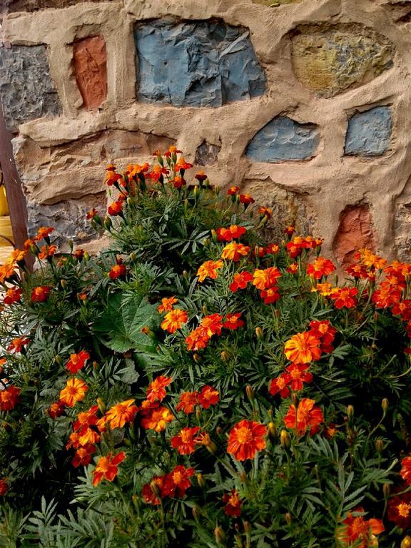 Riad La Fibule Berbere Tabant エクステリア 写真